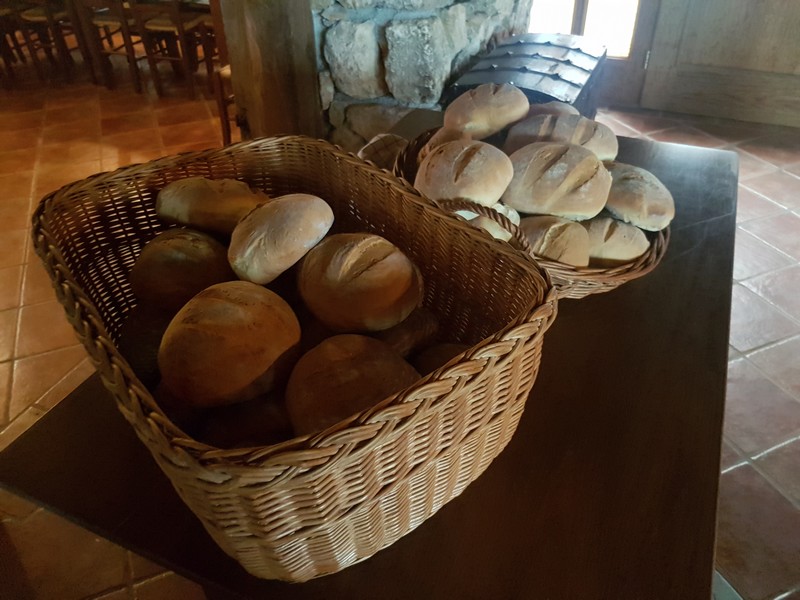 Obisk Hiše dobrega kruha