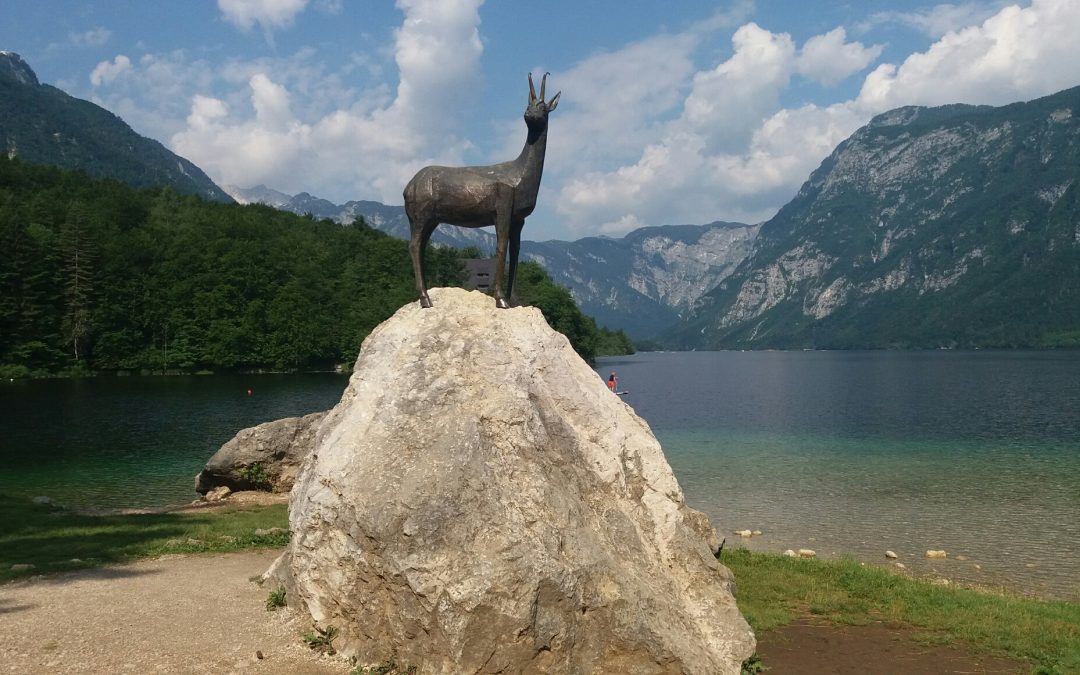 Šola v naravi CŠOD Bohinj: 5. zadnji dan